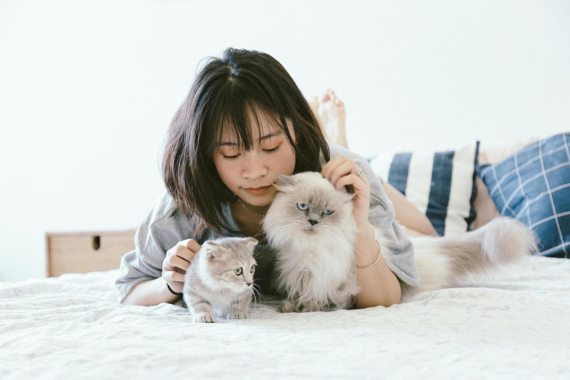 Dog & Cat Vets in Minot